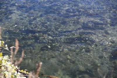 DSC_6513 (Large).JPG